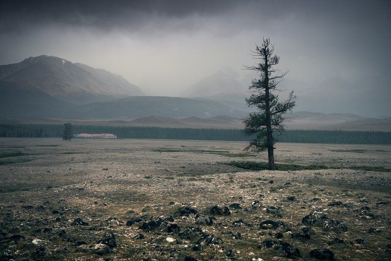 Непогода в Курайской степи / Foul weather in the Kurai steppe фото превью