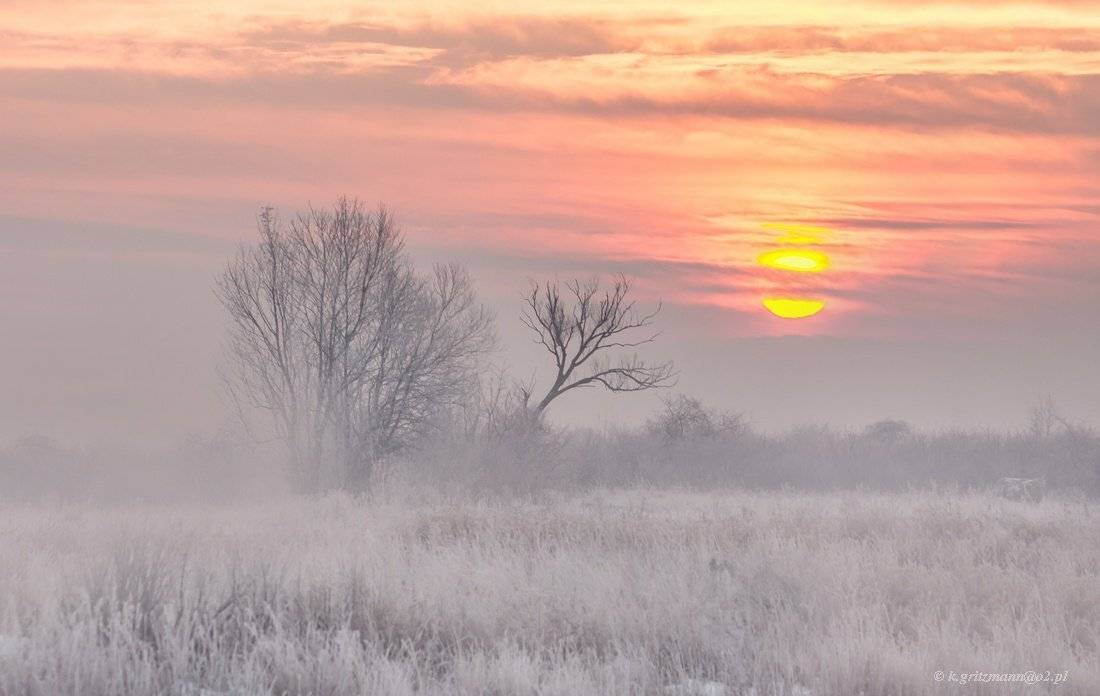 winter time .... Автор: Katarzyna Gritzmann , Katarzyna Gritzmann