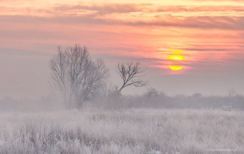 winter time ... фото превью
