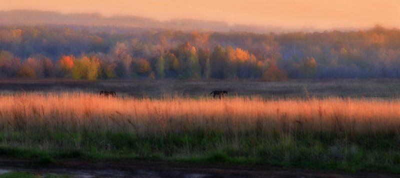 На закате фото превью