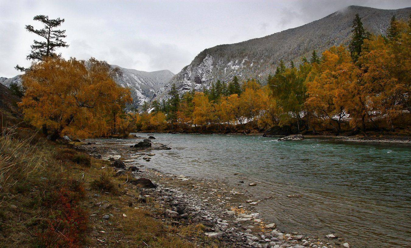 , Дмитрий Д.