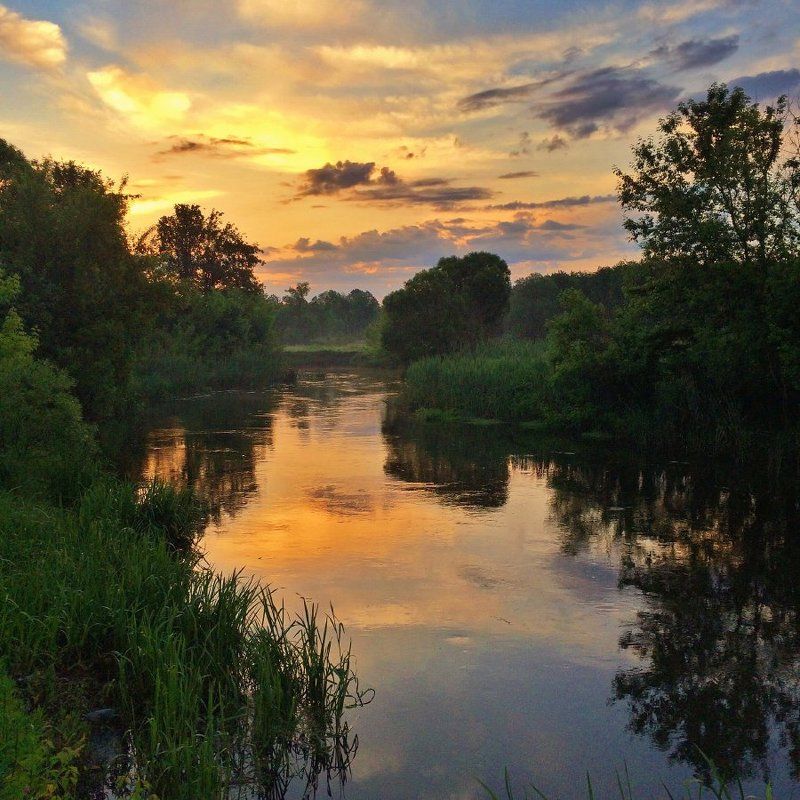 Природа фото превью