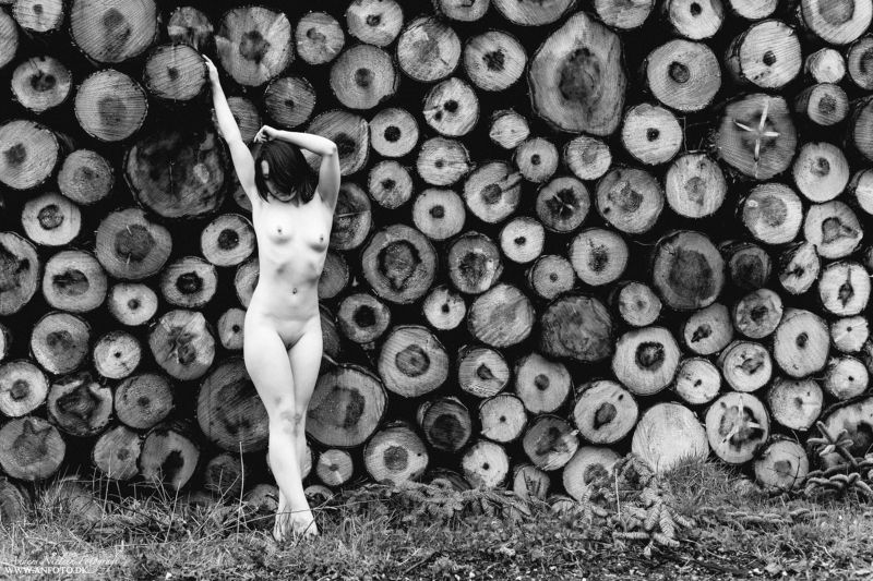 Omnia фото превью