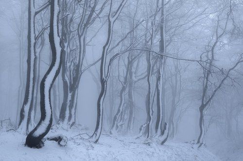 Winter in the Ore mountains.