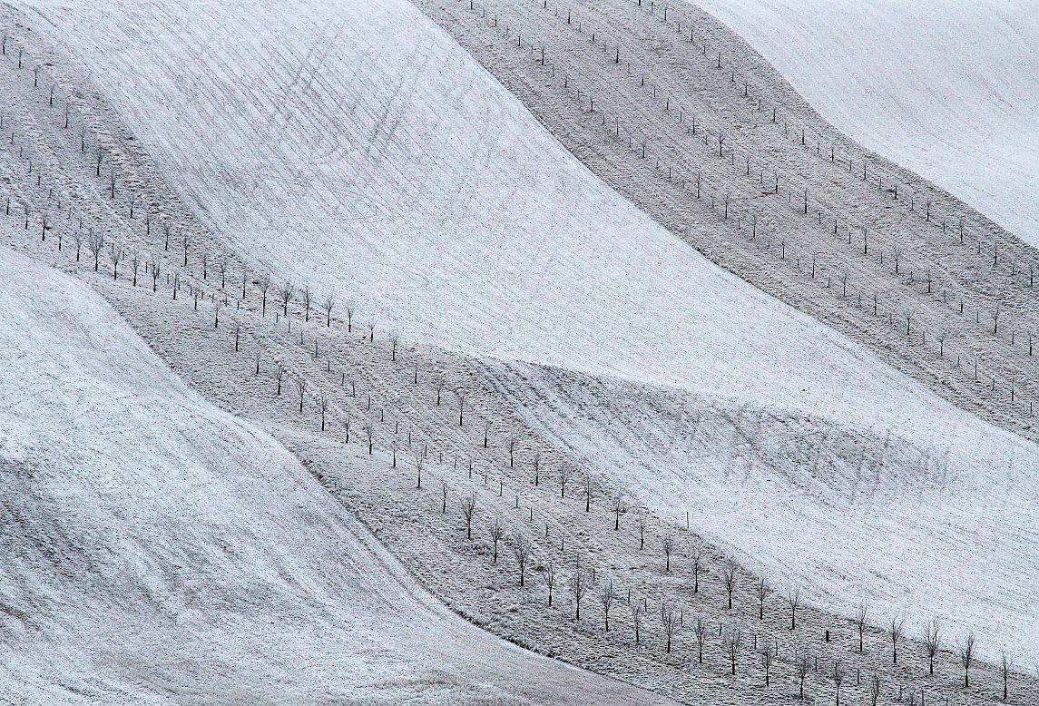 , Franti&scaron;ek Uhler