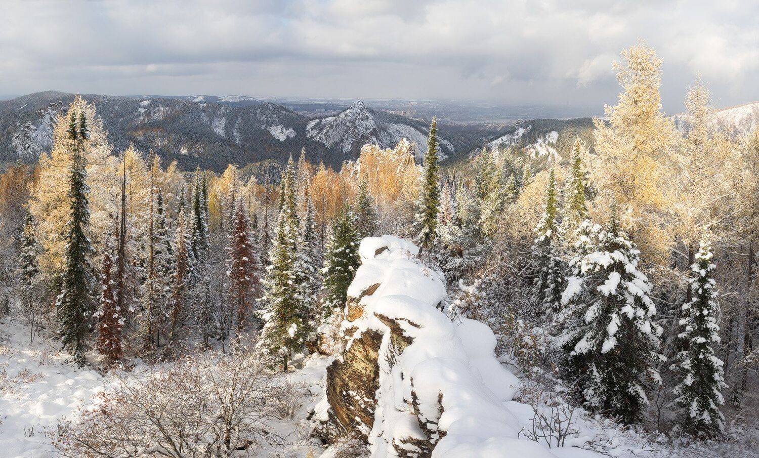 , Лещёнок Александр