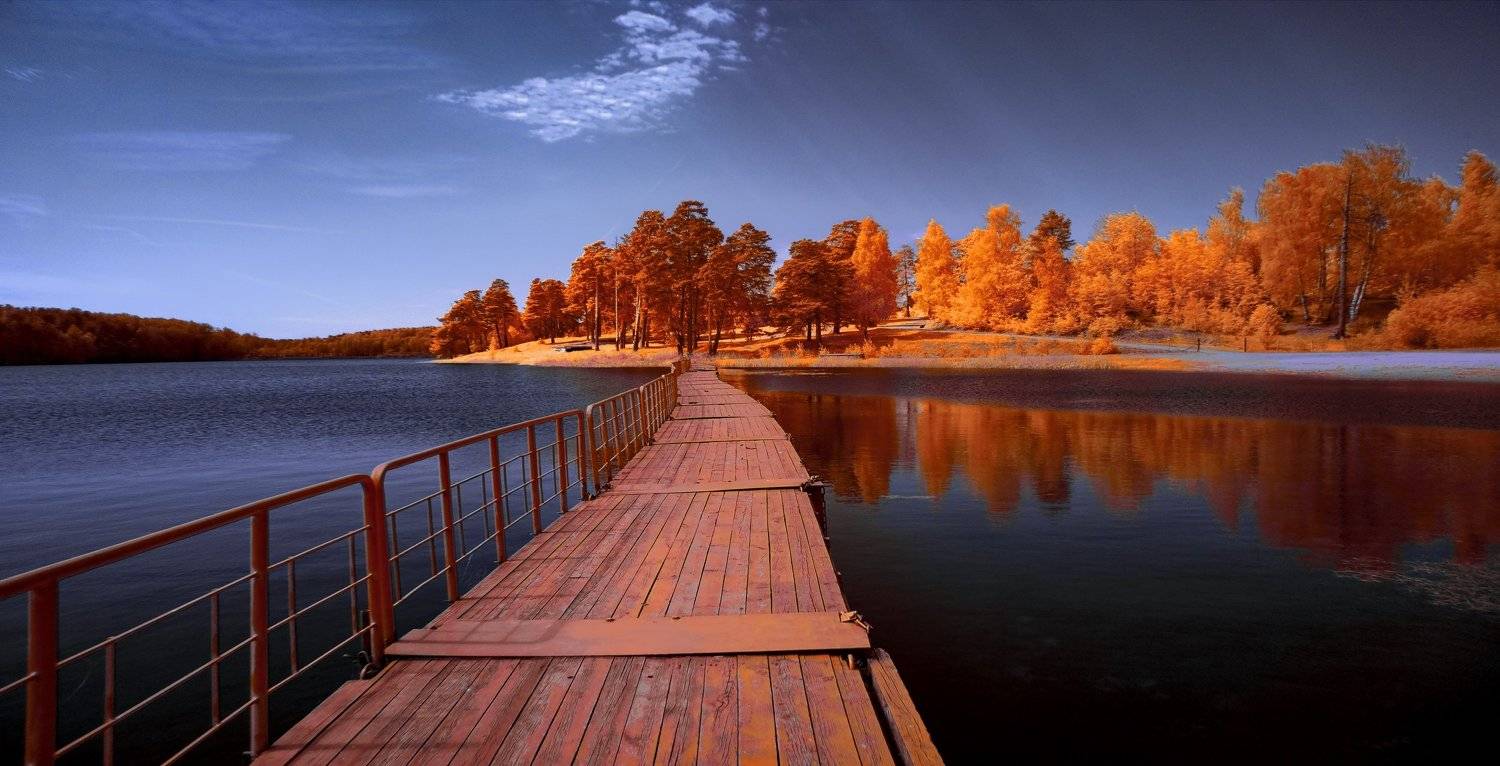 infrared,ик-фото,инфракрасное фото,инфракрасная фотография,пейзаж,природа,беларусь,весна, Sixten ( Сергей )