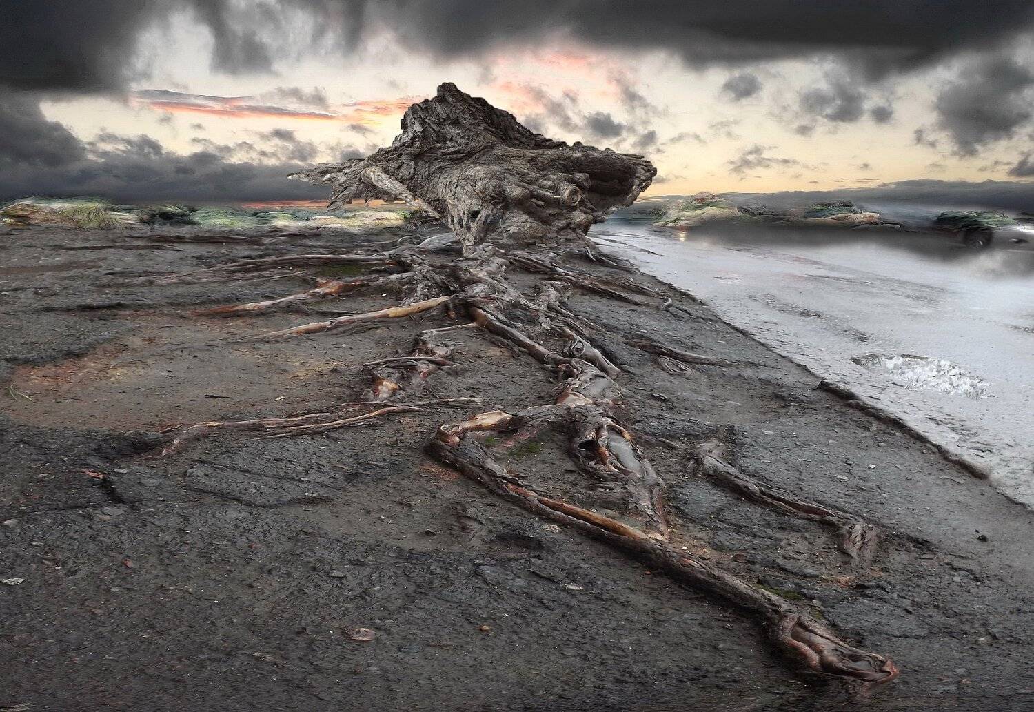 одесса, Сергей Кошелев