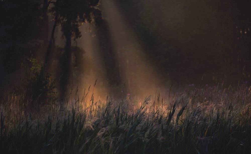 утро, Андрей Дитковский