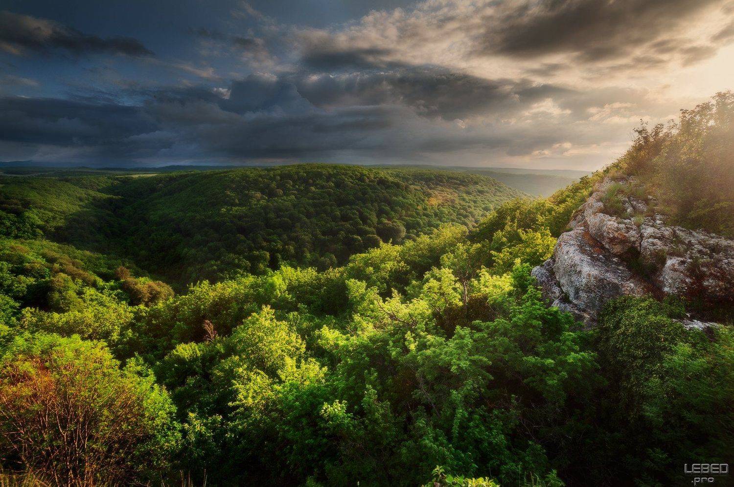 , Виктор Лебедь