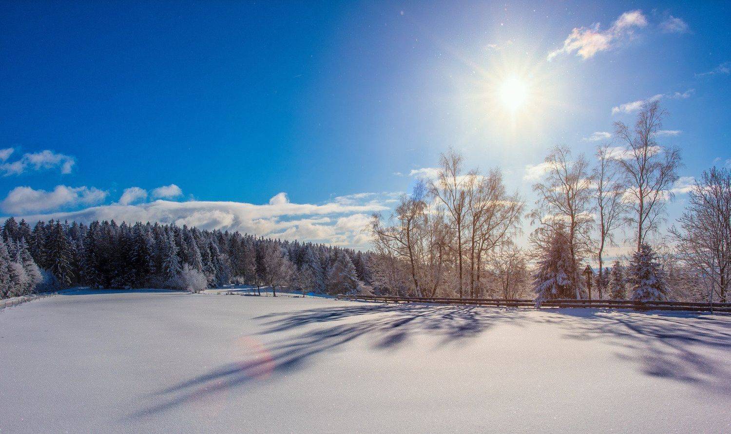 sun ,forest,tree,trees,snow,shadows,winter,sky,blue,clouds,frosty,cold,january,landscape,nature,germany,bayern, Сергей Нестеров