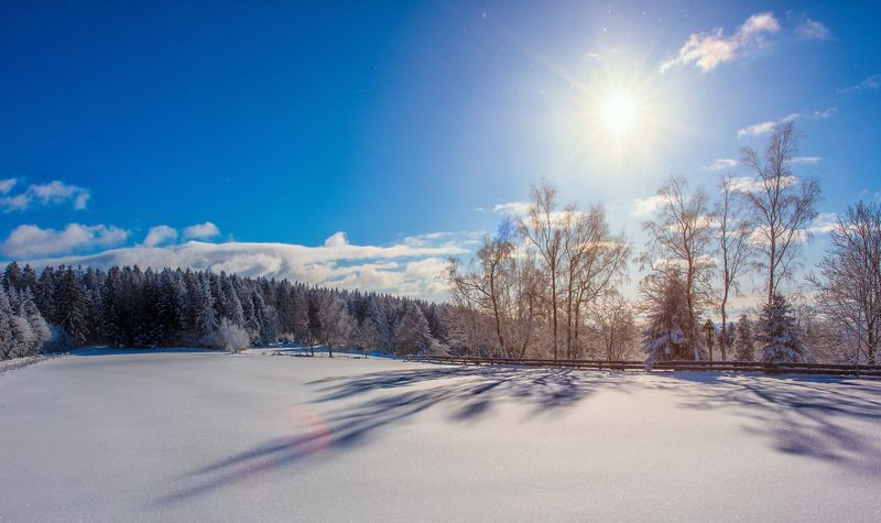 sun ,forest,tree,trees,snow,shadows,winter,sky,blue,clouds,frosty,cold,january,landscape,nature,germany,bayern Snow with blue sky.. фото превью