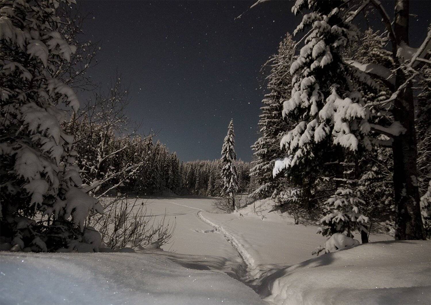 звезды,ночь,природа,зима, Карепанов Евгений