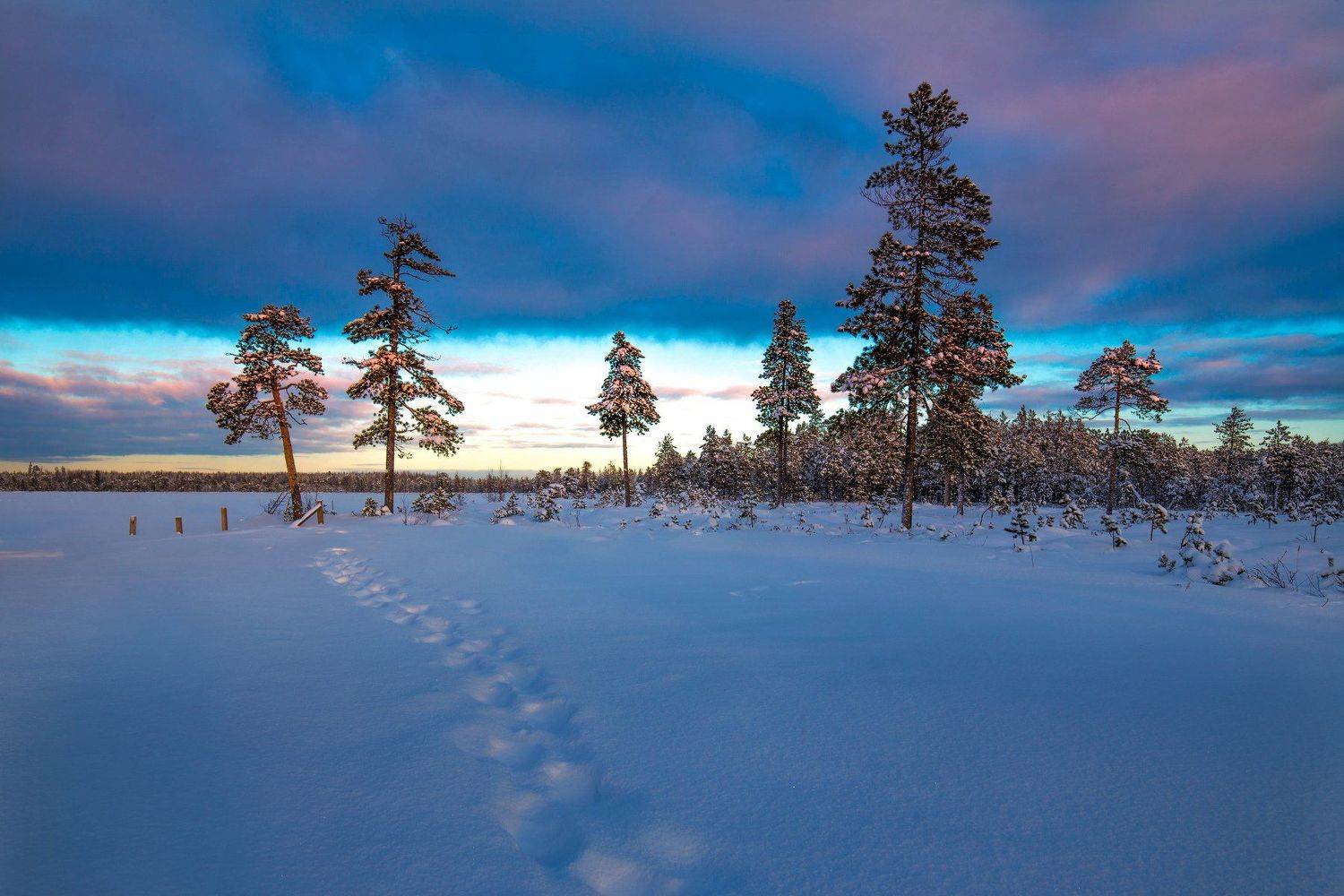 зима,  север, пейзаж, окунево, югра,, Татьяна Борисова