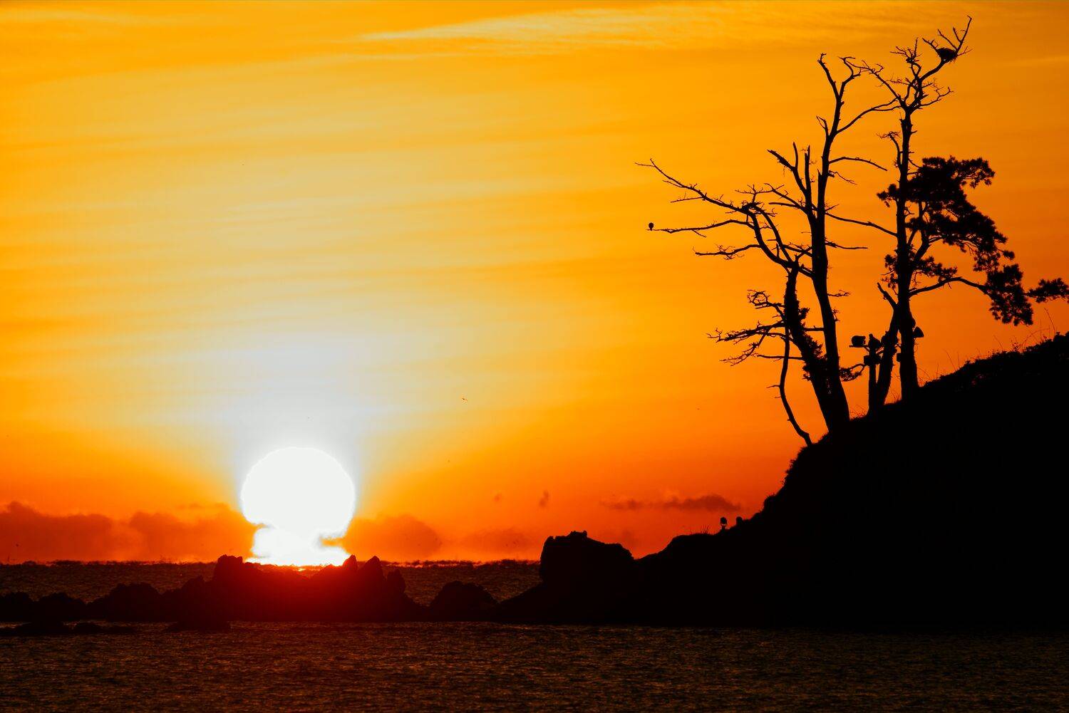 asia,korea,ulsan,sunrise,island,sea,seascape,sun,sunlight,island,rocks,horizontal,morning, Shin