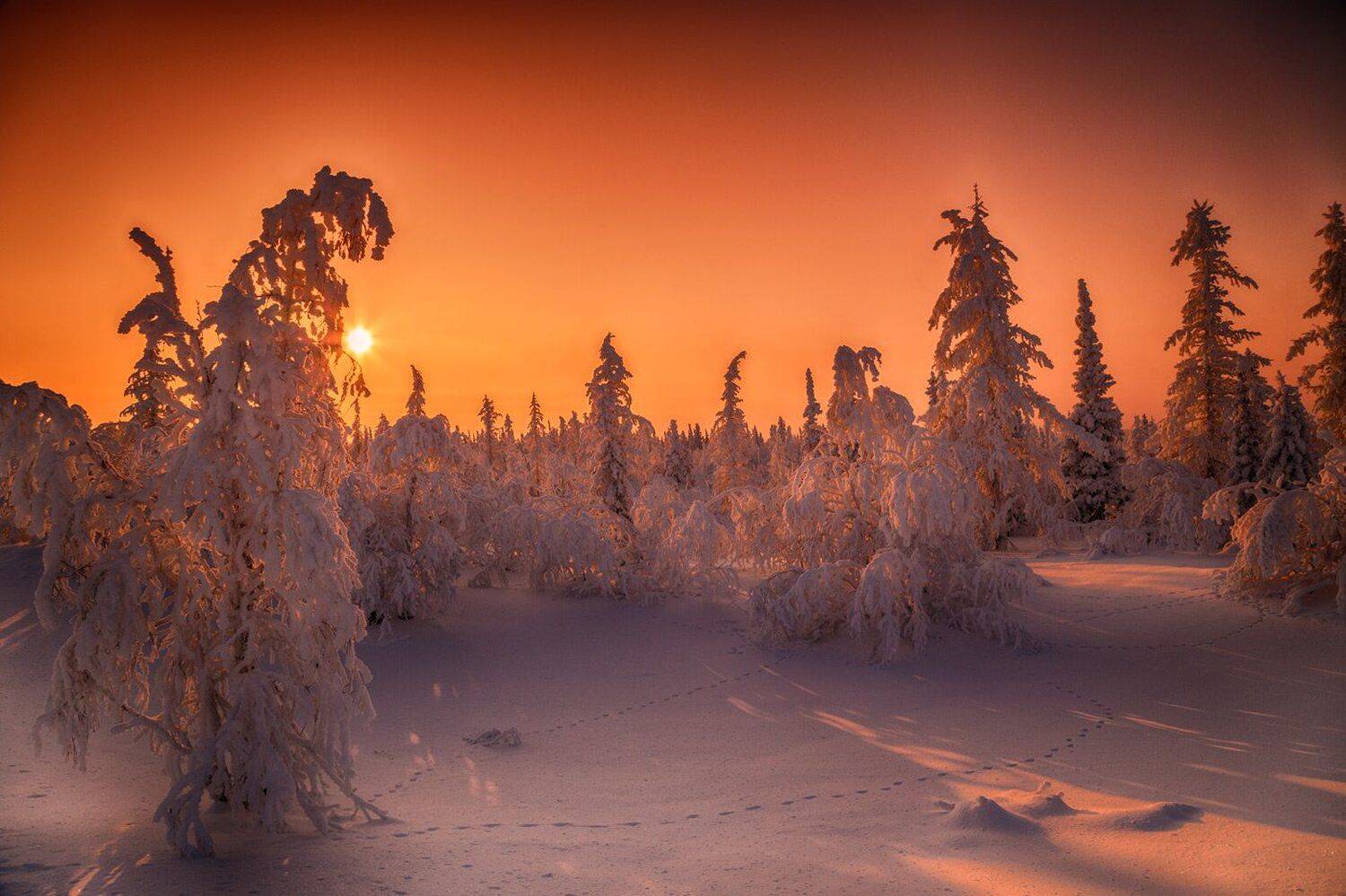 , Евгений Кужилев