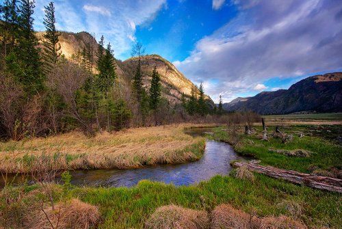 Алтайское утро