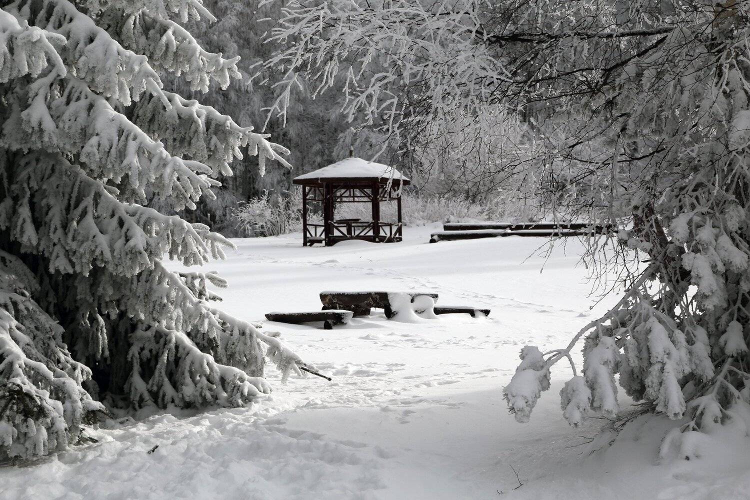 , Александър Сандев