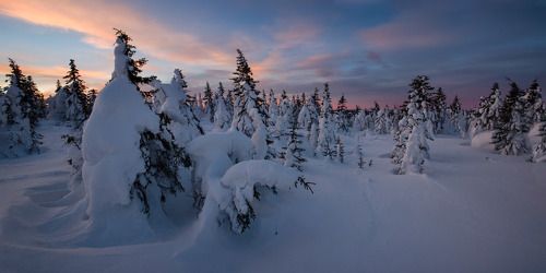 Пробуждение