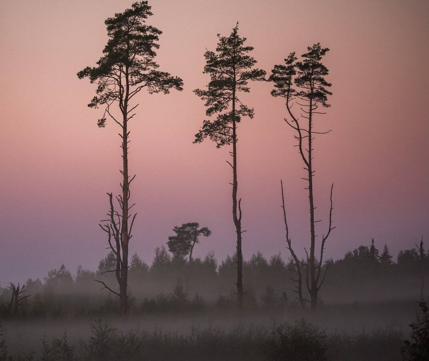 , Kreicbergs Maris