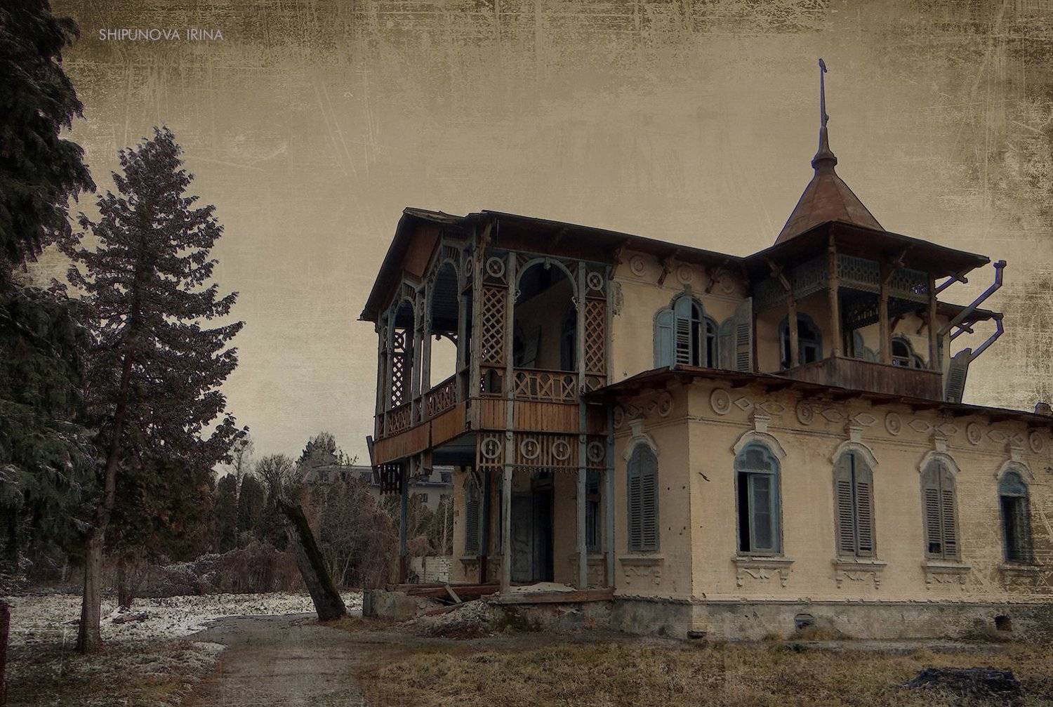 дом памятник история графика, Шипунова Ирина