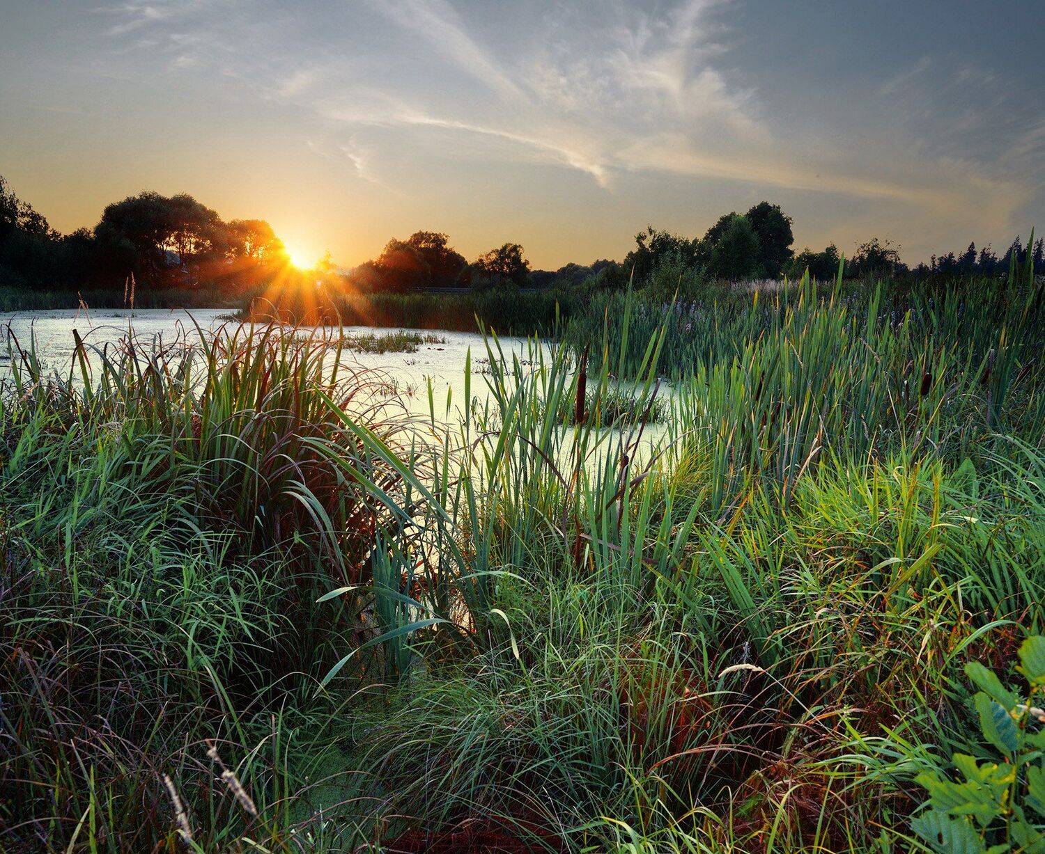 красная пахра, закат, Olga N.