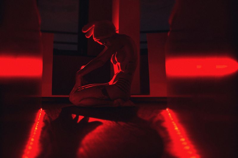 .red rabbit. фото превью