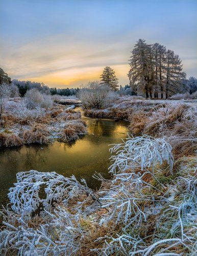 Золотая река в инее