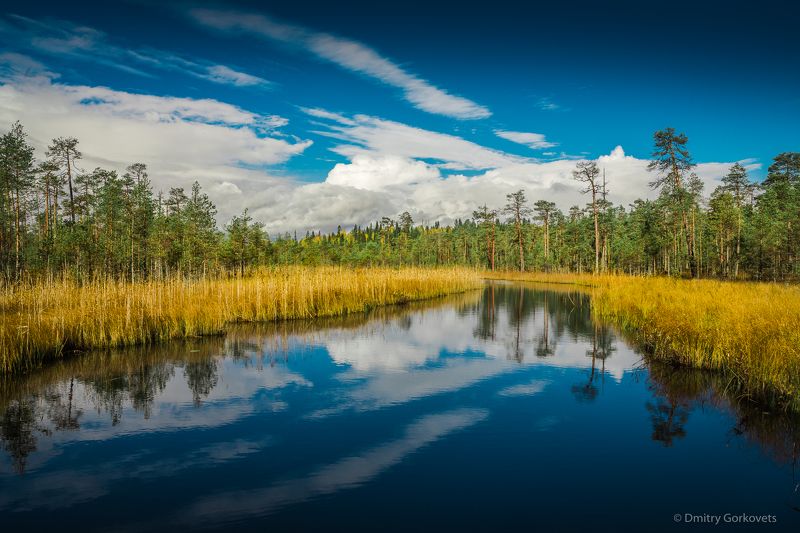 речка Безымянная речка. Noname river. Karelia. Russia. фото превью
