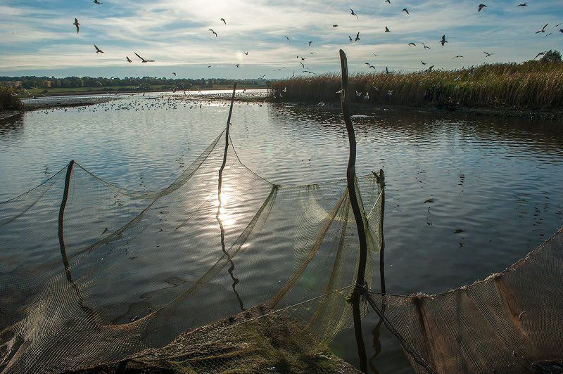 *** фото превью