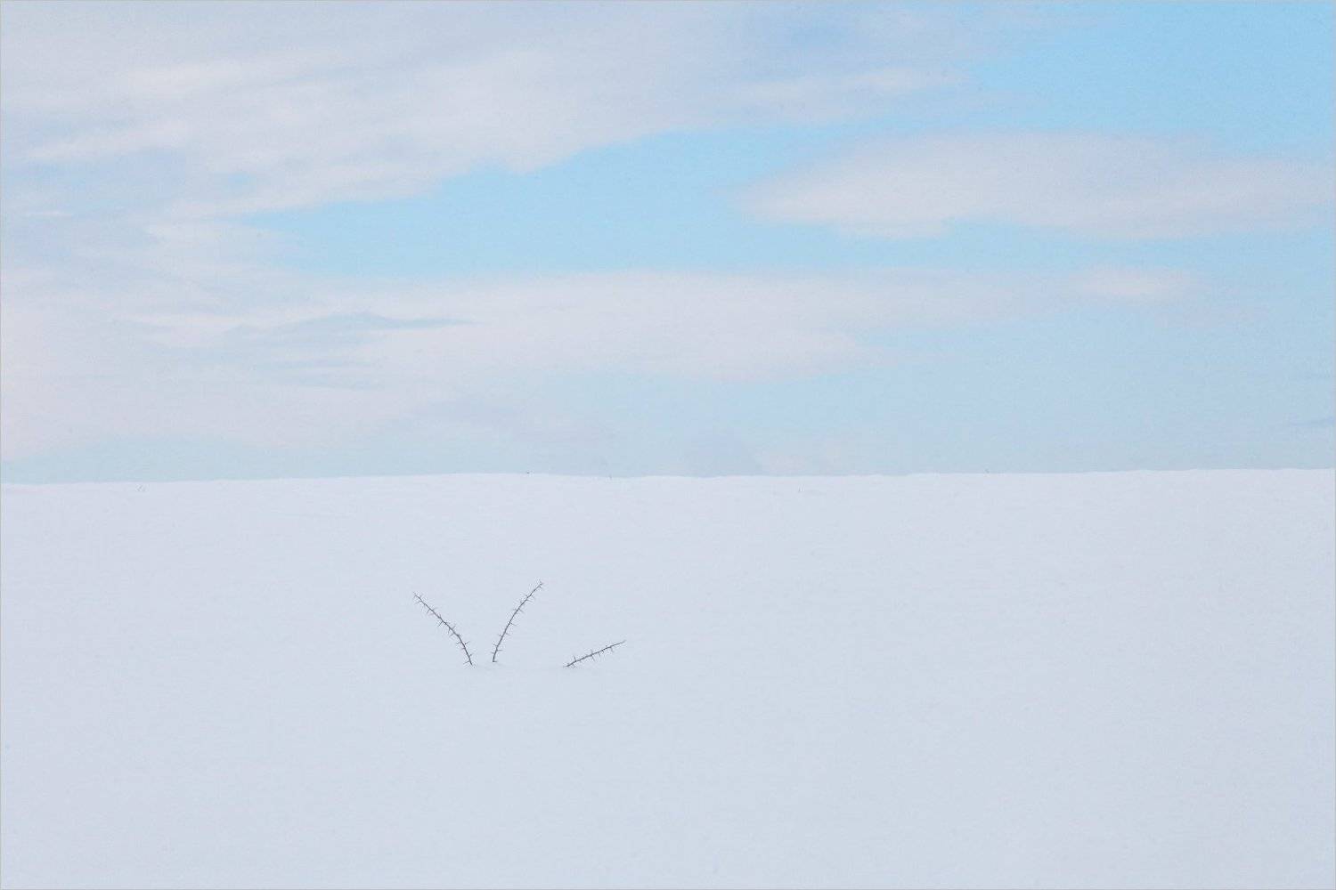 , Kostadin Momchilov