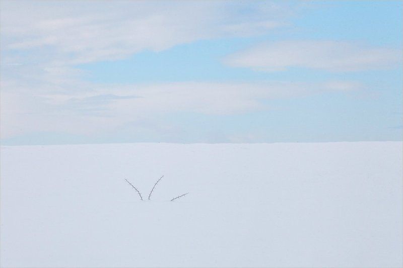 Minimalism фото превью