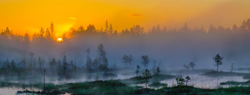 болото, восход, карелия, лето, пейзаж, природа, рассвет, север, туман, утро На болоте фото превью