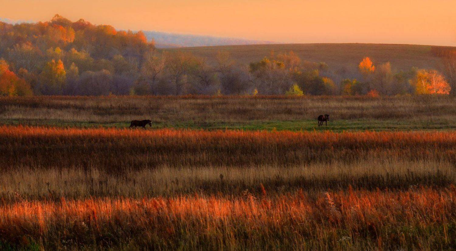 , Галанзовская Оксана