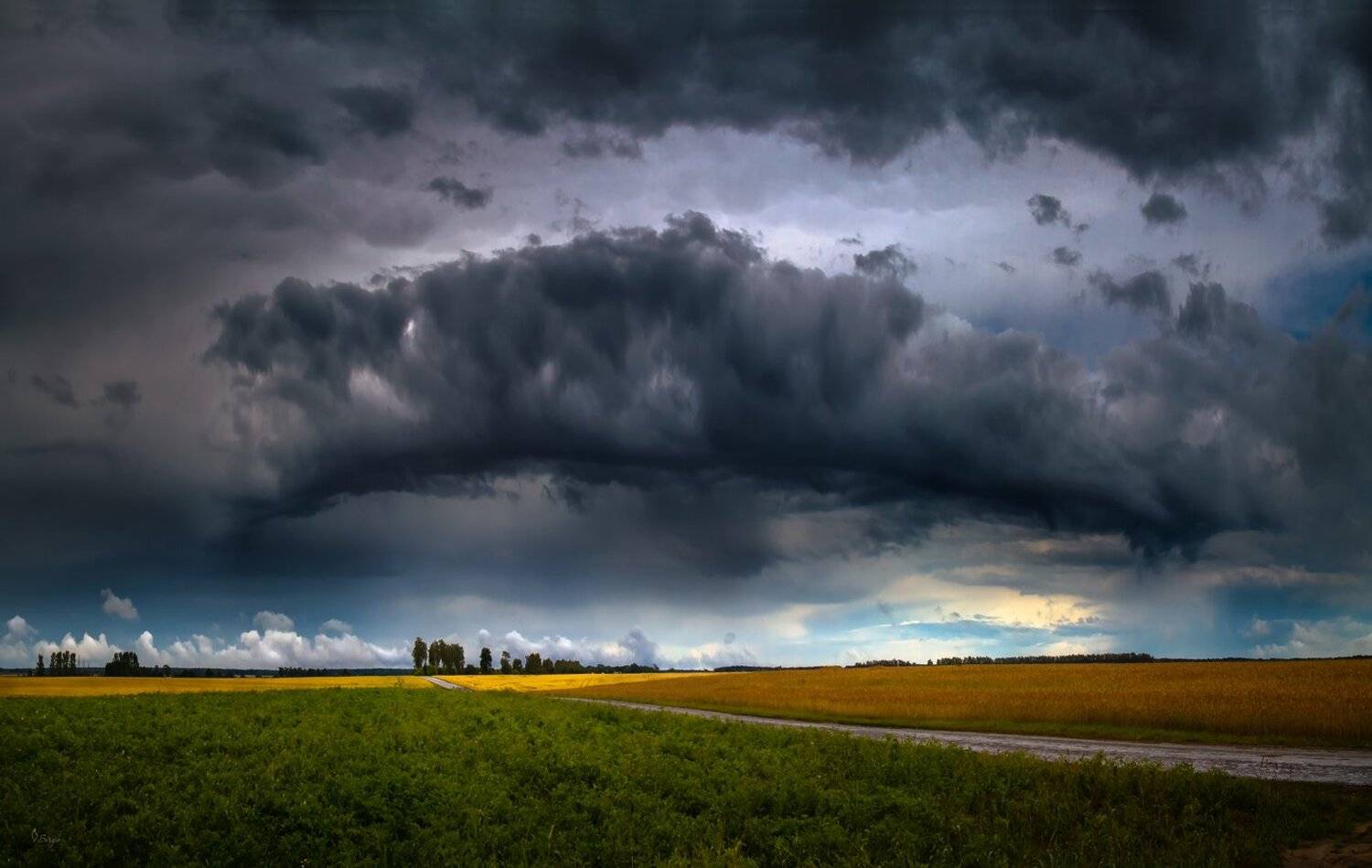 Беларусь, Серж Домбровский