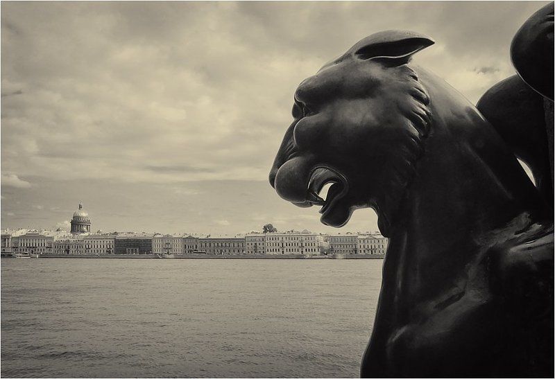 3 фото превью