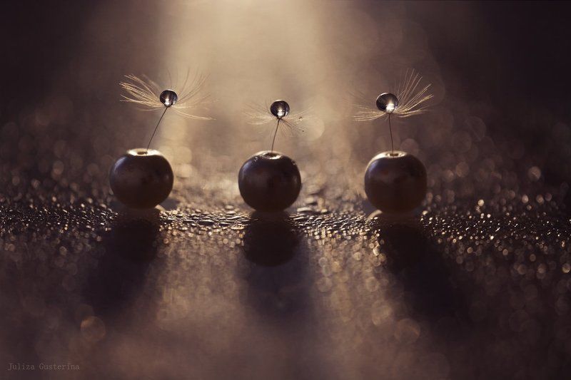 мотыльки летят на свет ... фото превью