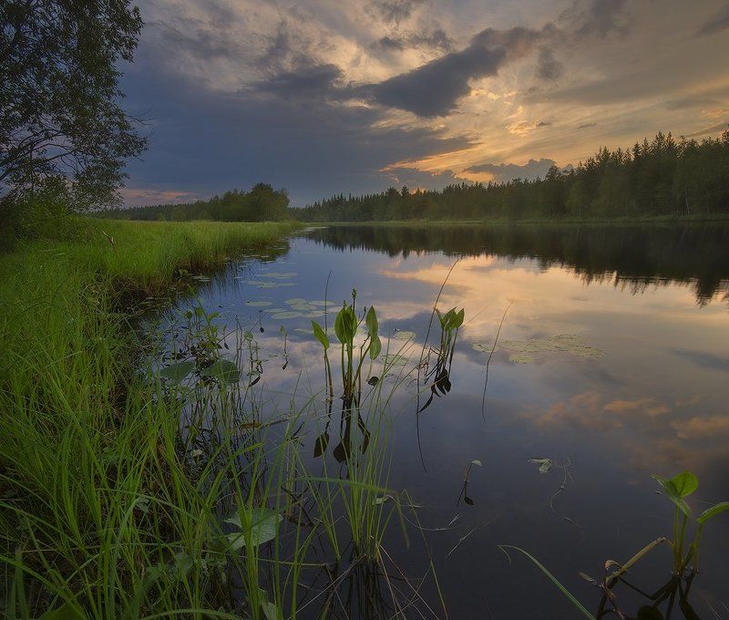 перед дождем фото превью