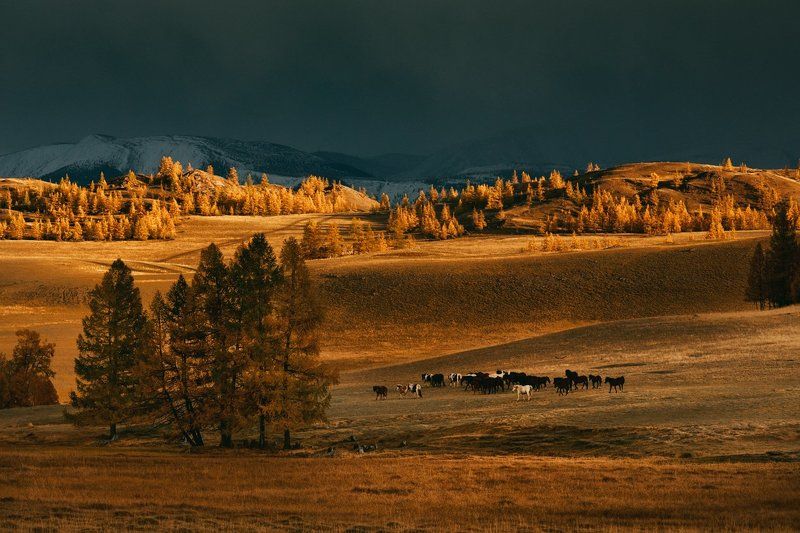 Фантазия на тему далёкой Земли фото превью