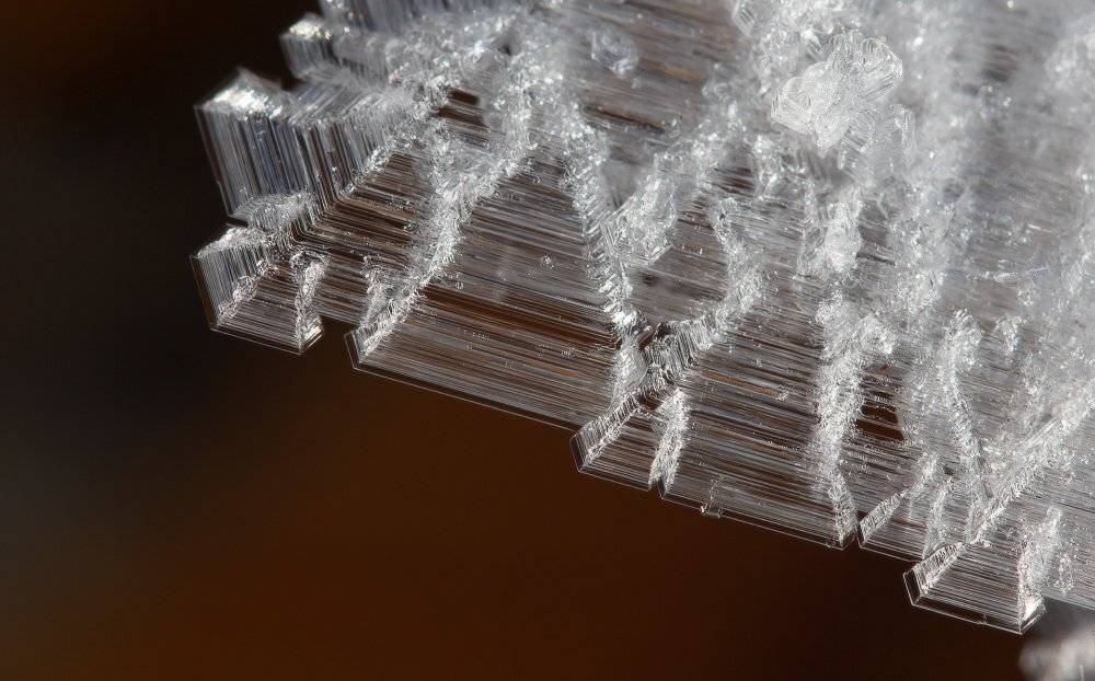 макро, Андрей Дитковский