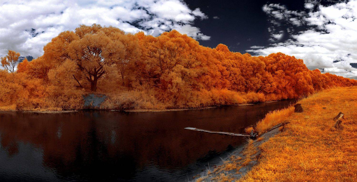 infrared,ик-фото,инфракрасное фото,инфракрасная фотография,пейзаж,природа,беларусь,лето, Sixten ( Сергей )