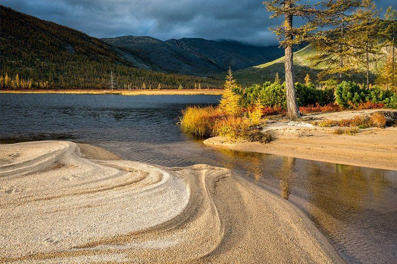 Берег медведей фото превью