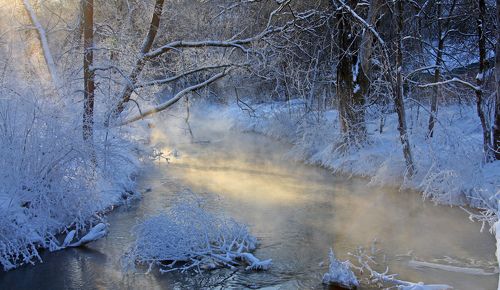 Морозные фантазии.