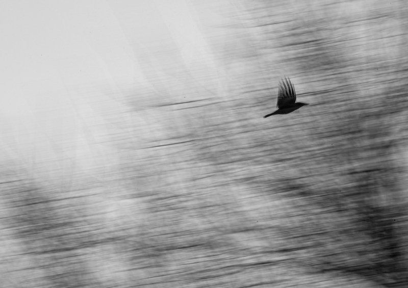 С проводкой фото превью