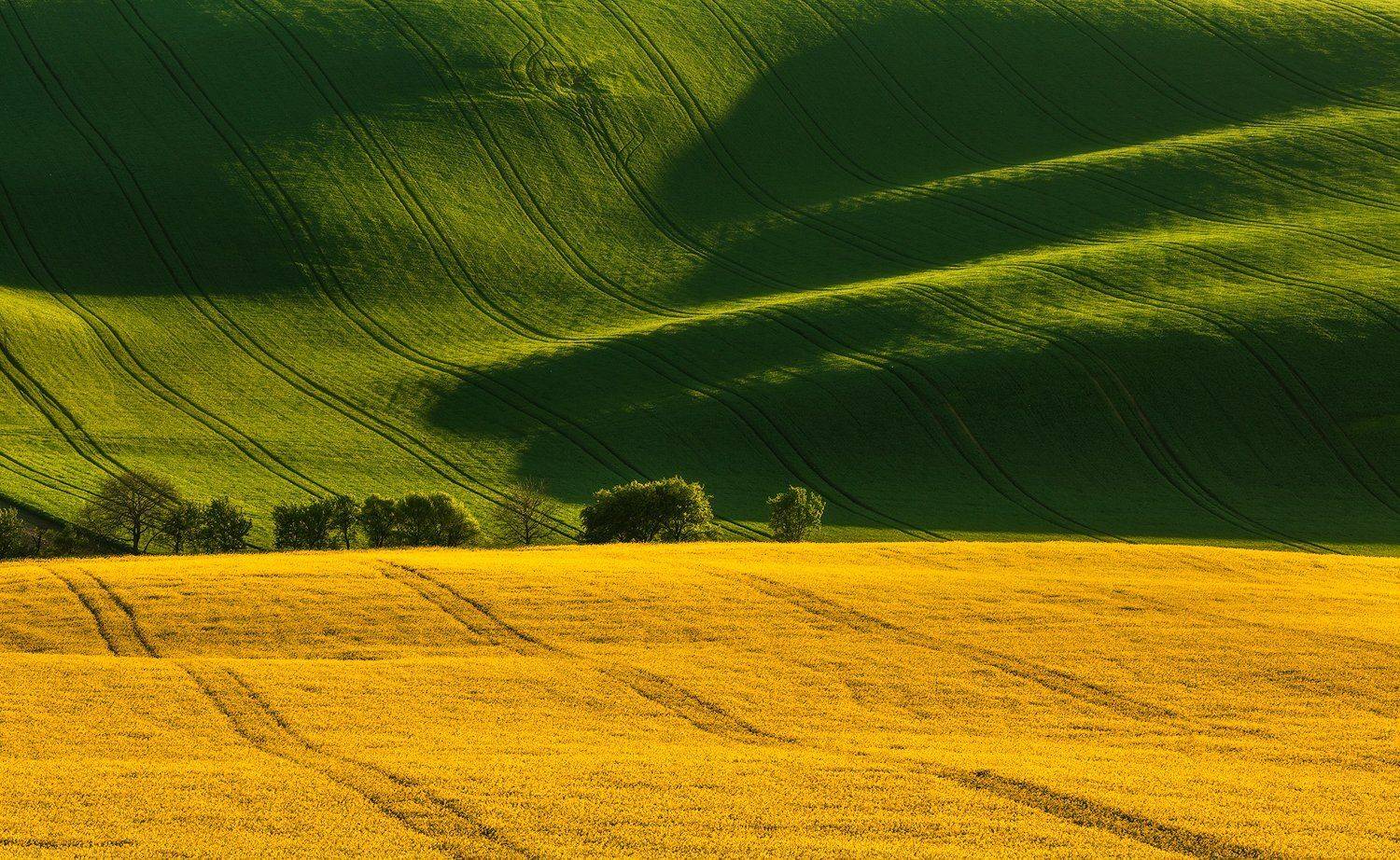 , Pawel Uchorczak