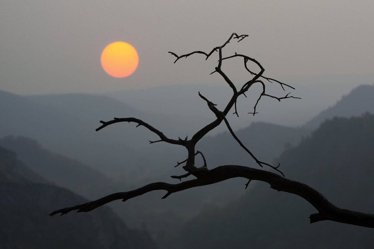 Пейзаж, утро, Башкирия, Урал, солнце, горы, дерево., Олег Грачёв