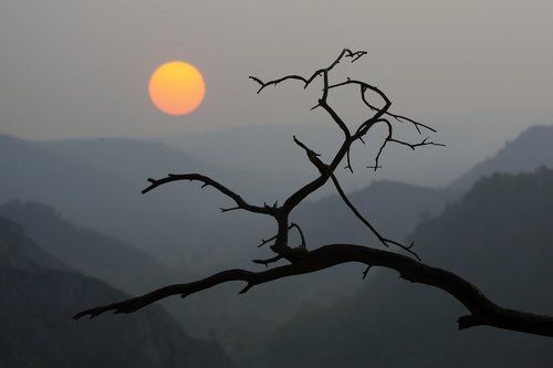 Утро в японском стиле.