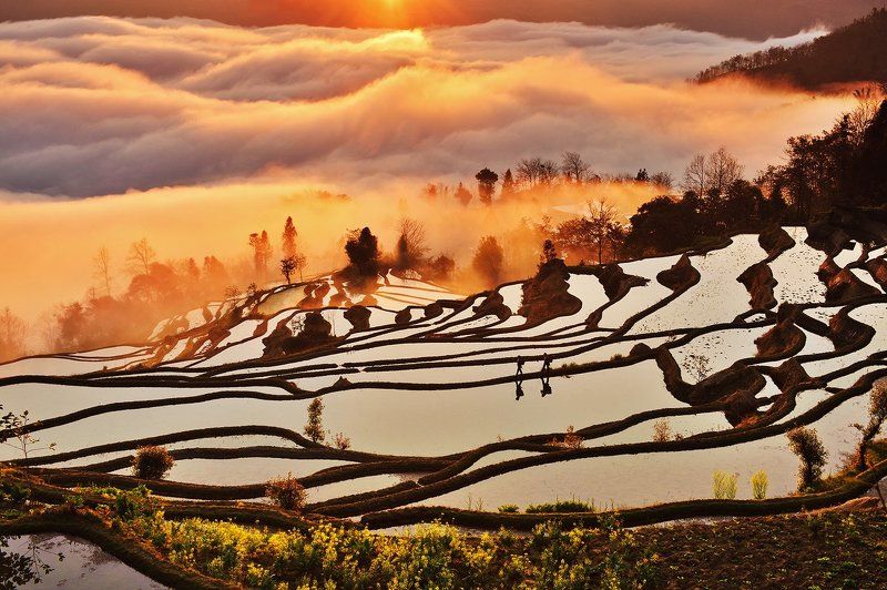 yuanyang , china Morning light фото превью