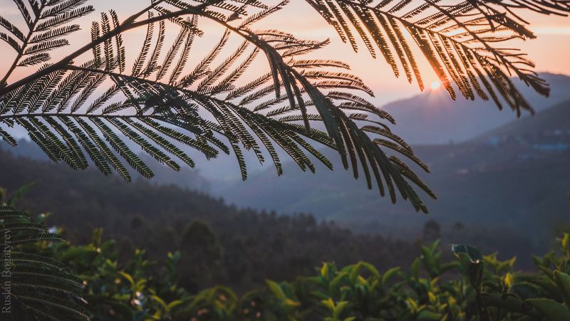 * фото превью