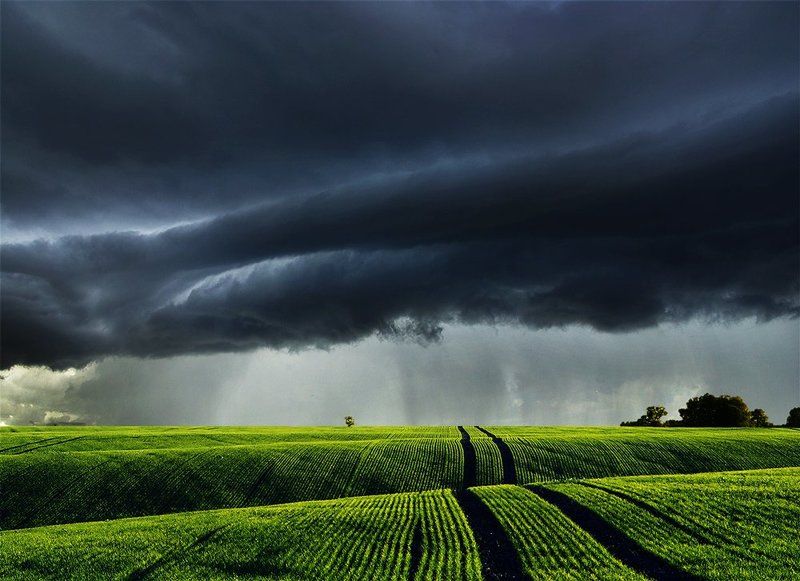 Lithuania, field, grass, storm, clouds * фото превью